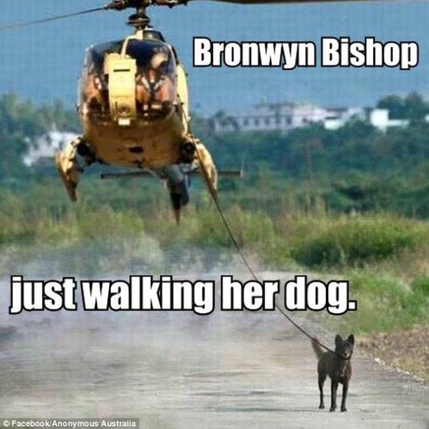 Bronwyn Bishop walking the dog