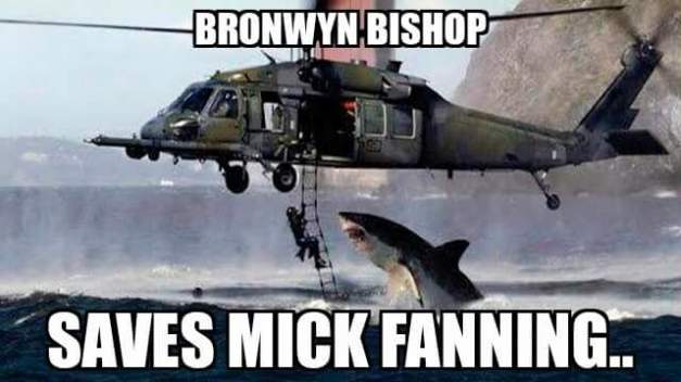 Bronwyn Bishop saves Mick Fanning